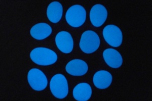 Galet luminescent bleu (au Kg)