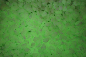 Gravillons luminescents  verts (au Kg)